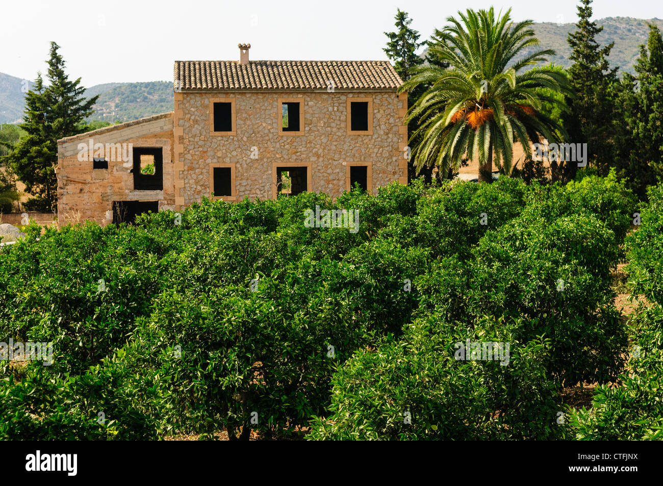 Incompiuta villa spagnola con lime grove sulla parte anteriore Foto Stock