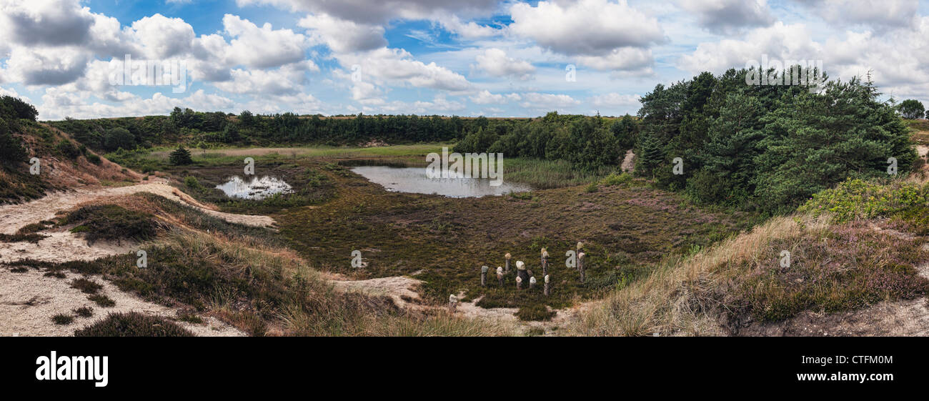 Wild natura danese con piccoli laghi in una vecchia cava di ghiaia. La parte settentrionale del Mare di Wadden. Foto Stock