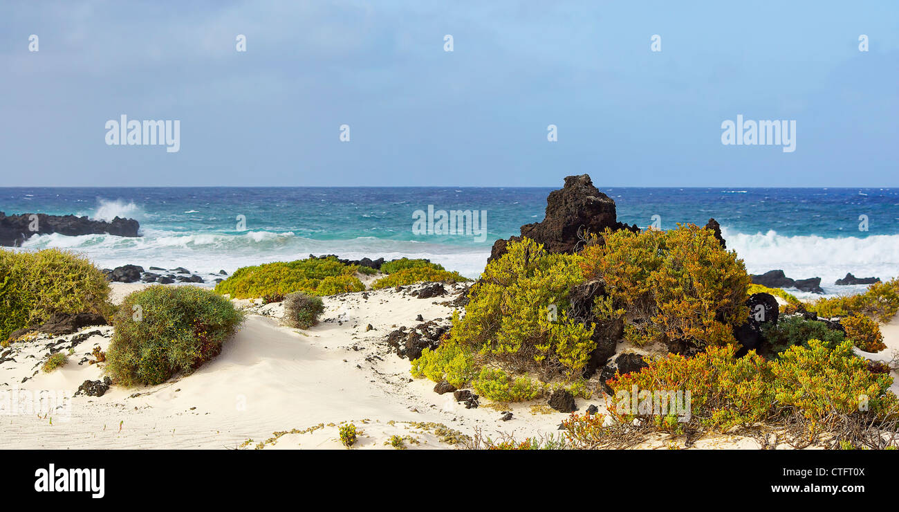 Spiaggia, rocce e oceano Atlantico, Lanzarote, Spagna. Foto Stock