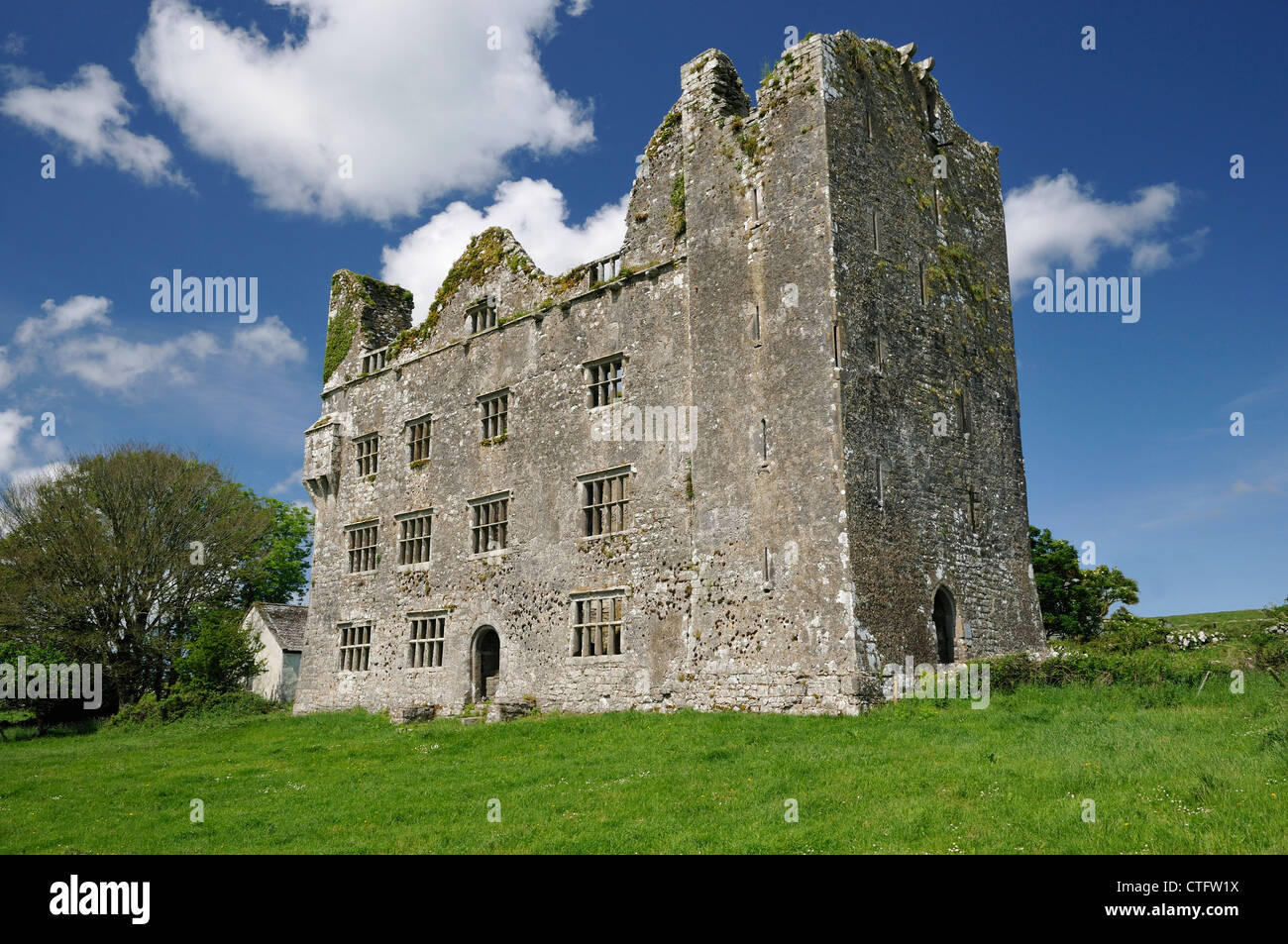 Il castello di Leamaneh, Kilfenora Foto Stock