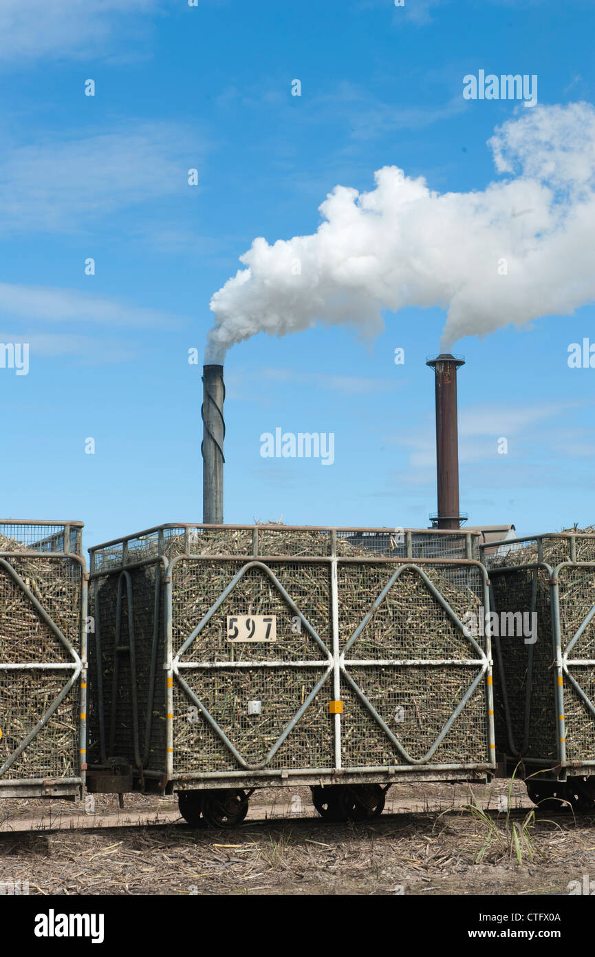 La canna da zucchero trasportato in contenitori su rotaia per il Tully mulino per lo zucchero in Tully, Queensland, Australia Foto Stock