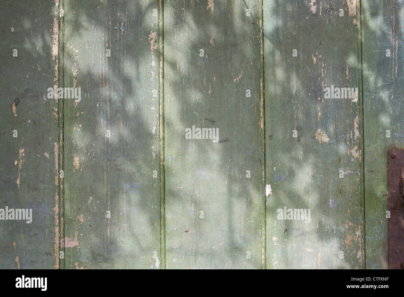 Textured verde porta di legno con peeling vernice di cracking e pezzata luce solare Foto Stock