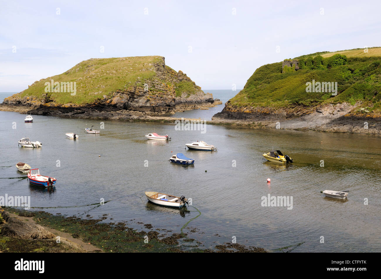 Porto Abercastle Pembrokeshire Coast National Park Galles Cymru REGNO UNITO GB Foto Stock