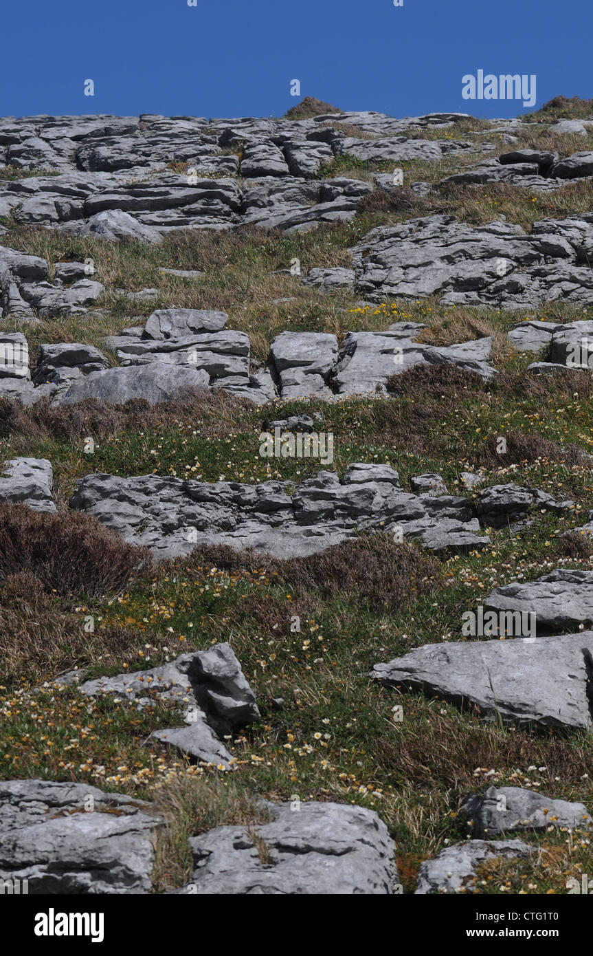 Il Burren, North Clare, Irlanda Foto Stock