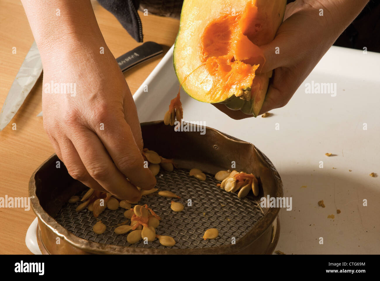 Curcubita maxima 'Queensland blue', la zucca Foto Stock