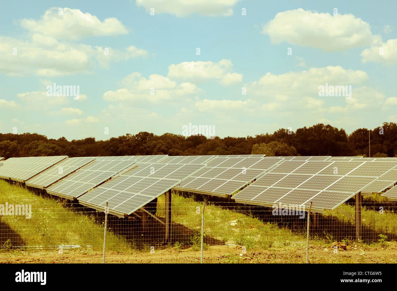 Pannelli solari su un campo erboso Foto Stock