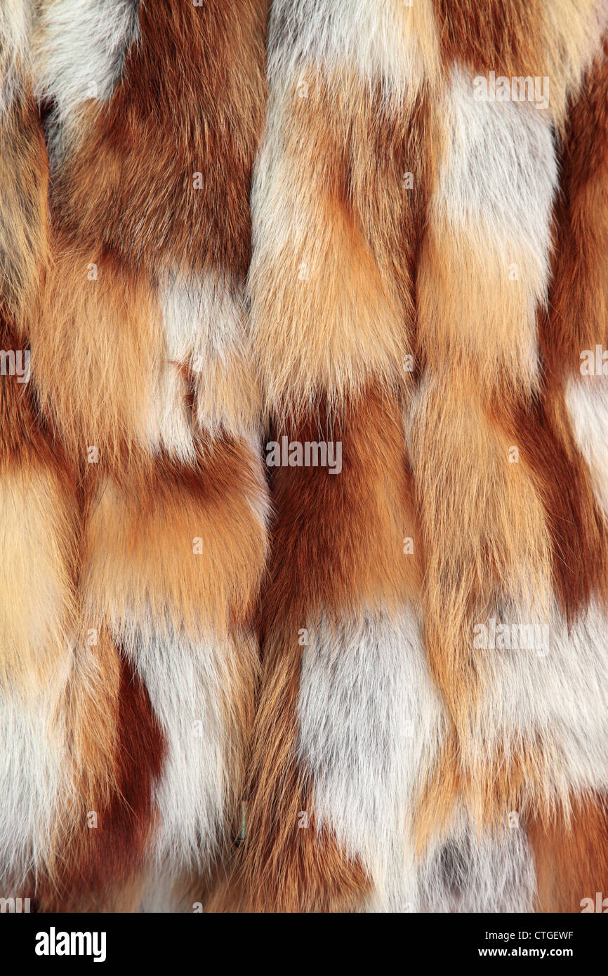 Close up di un giubbotto di pelliccia in un negozio di articoli da regalo nella crusca, Transilvania, Romania Foto Stock