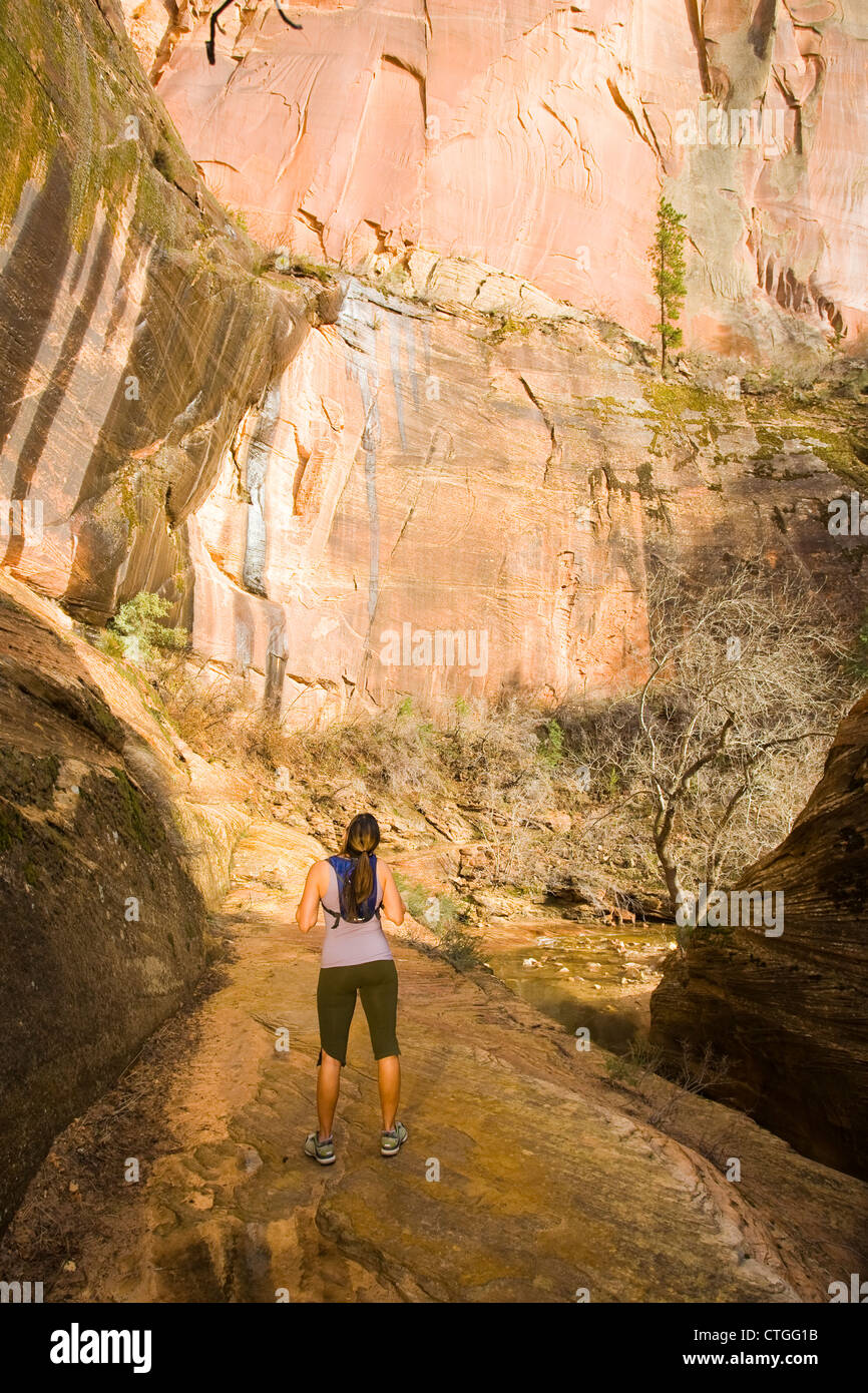 Il persiano woman hiking vicino scogliera Foto Stock