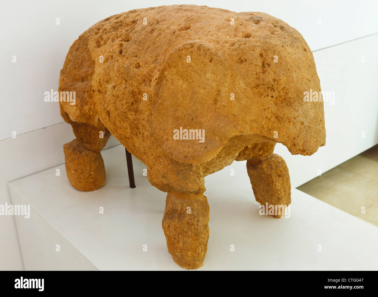 Il complesso archeologico, Carmona, provincia di Siviglia, Spagna. Scultura nel museo di un elefante... Foto Stock