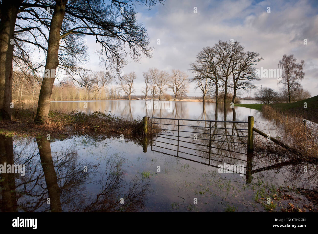 I Paesi Bassi, Heerde, inondato i terreni agricoli. Fiume Ijssel. L'acqua alta. Foto Stock