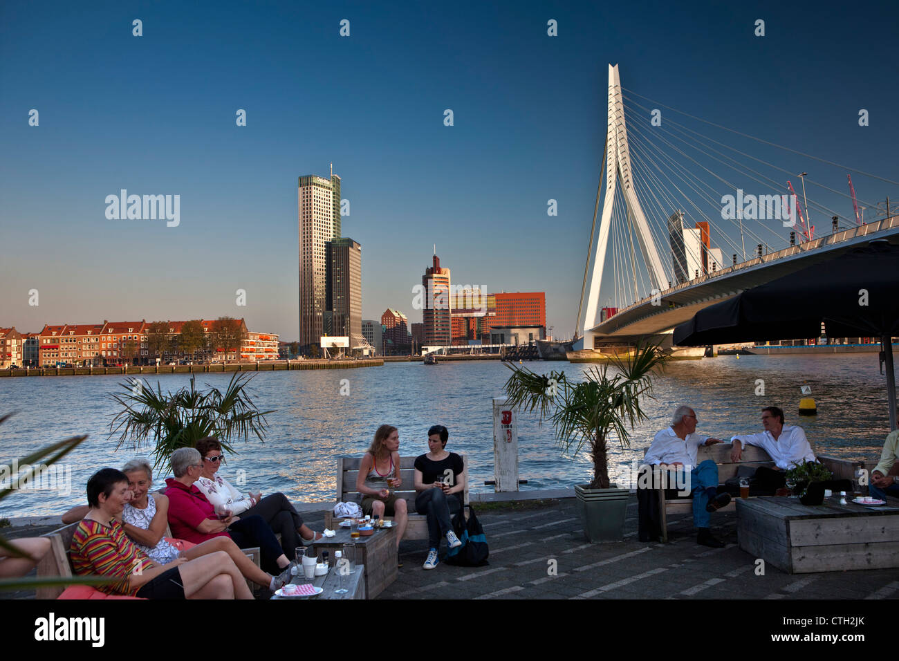 I Paesi Bassi, Rotterdam. Persone in relax outdoor cafe, vicino ponte denominato Erasmusbrug, architetto Ben van Berkel. Foto Stock