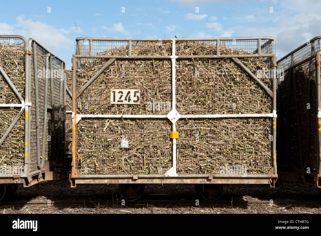 Rotaia di trasporto celle riempite con raccolte di canna da zucchero voce alla frantumazione a Tully mulino per lo zucchero in Tully, Queensland Foto Stock