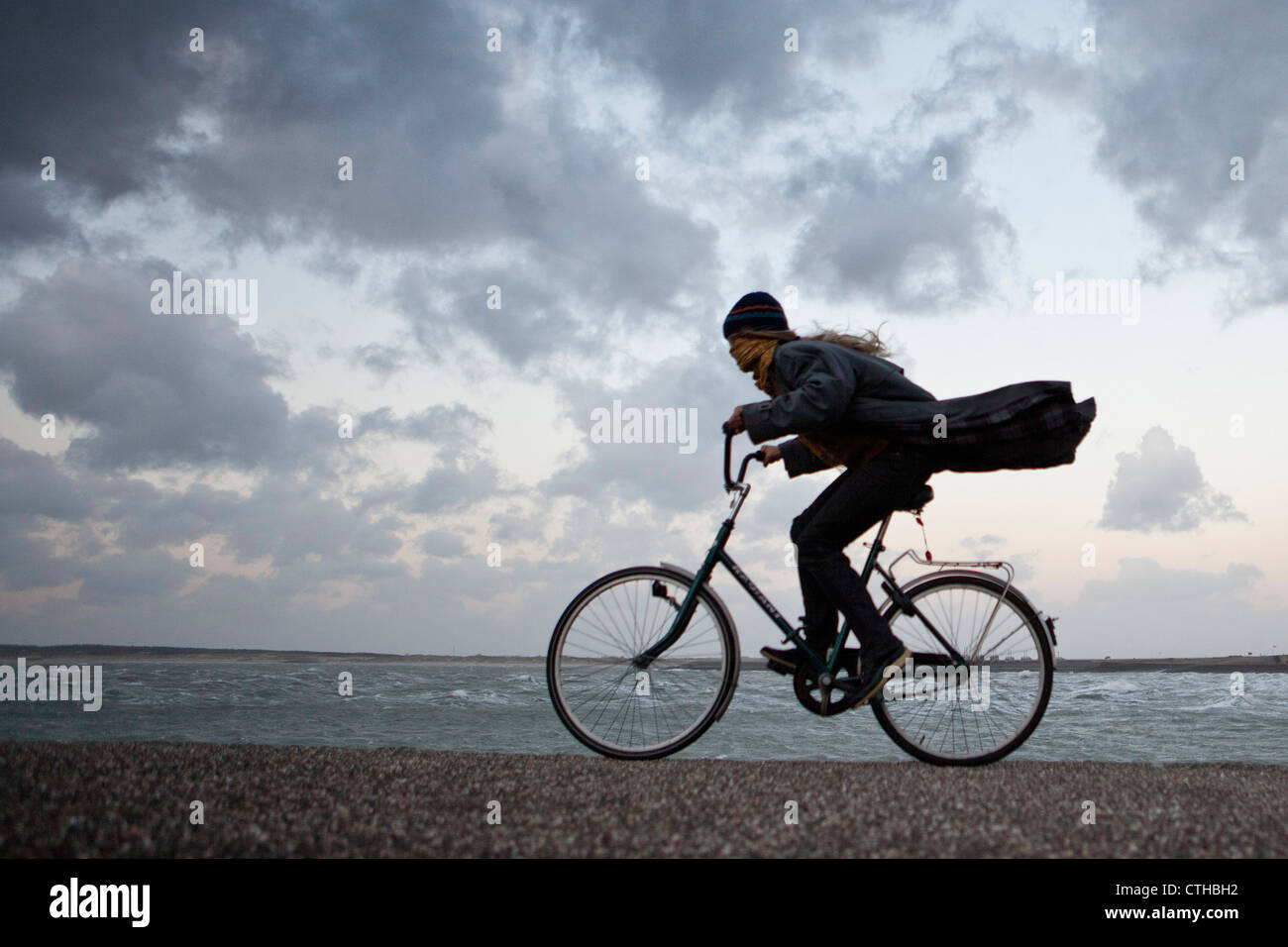 I Paesi Bassi, Kamperland, Donna ciclismo contro il vento tempestoso. Foto Stock