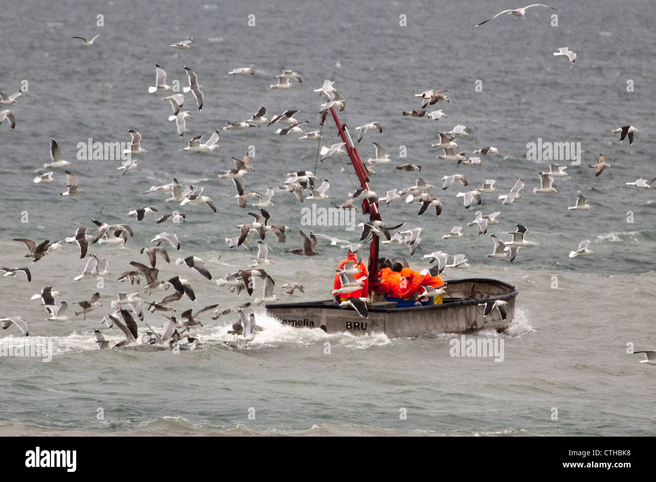 I Paesi Bassi, Kamperland, barca da pesca. Foto Stock