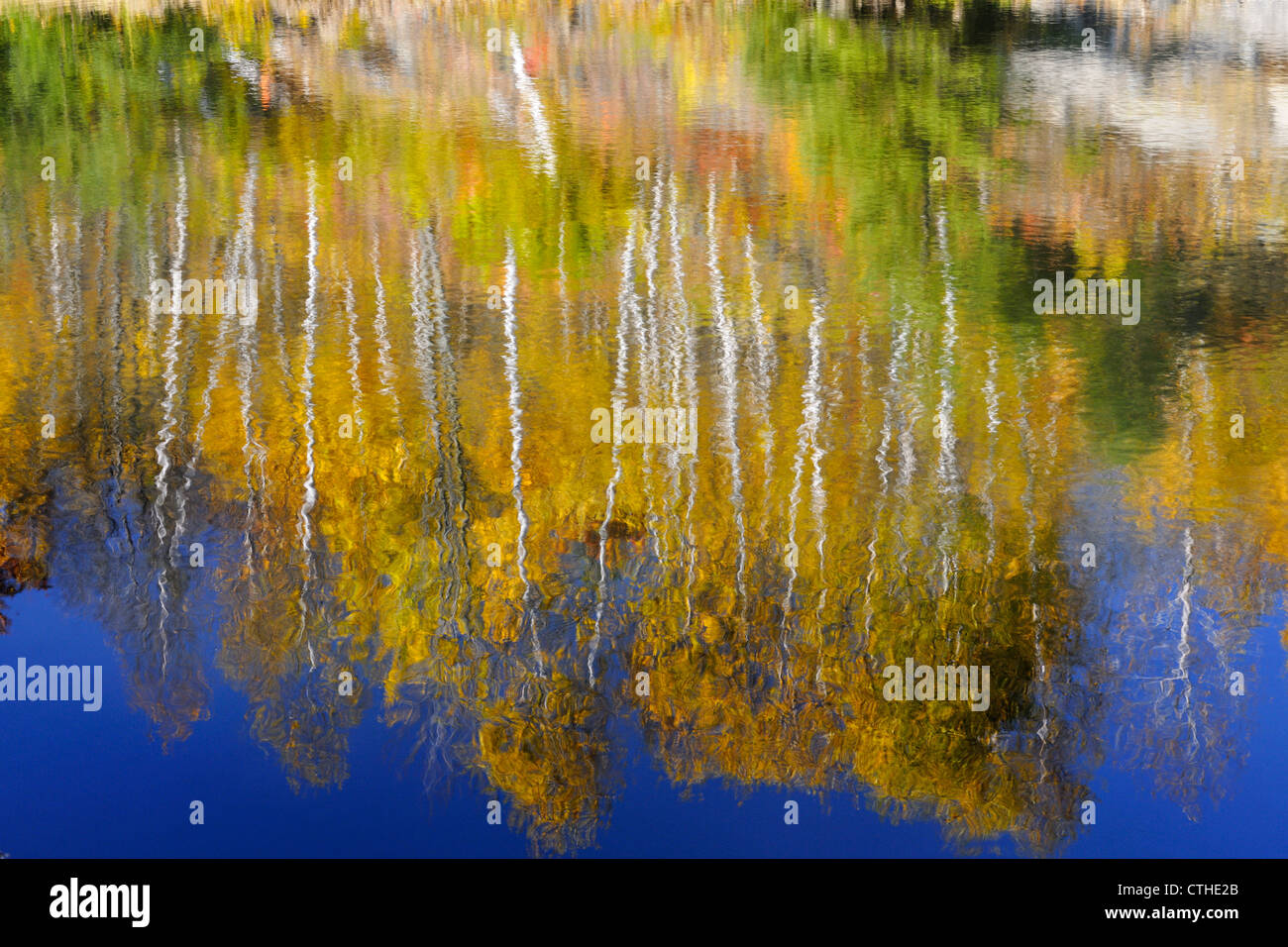 Autunno riflessioni in Junction Creek, maggiore Sudbury, Ontario, Canada Foto Stock