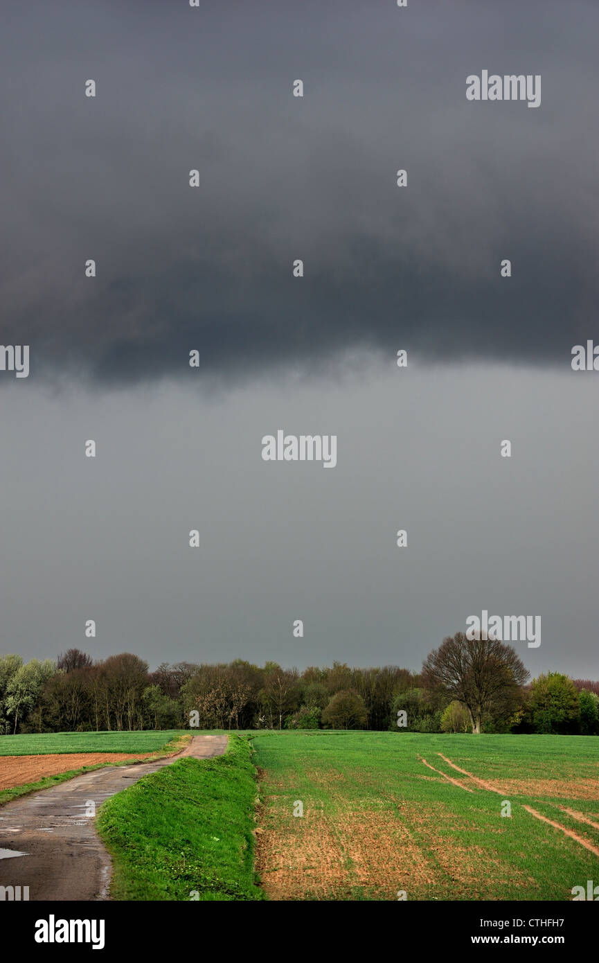 Black thunder pioggia nuvole a laminazione su campo nel paesaggio rurale, Belgio Foto Stock