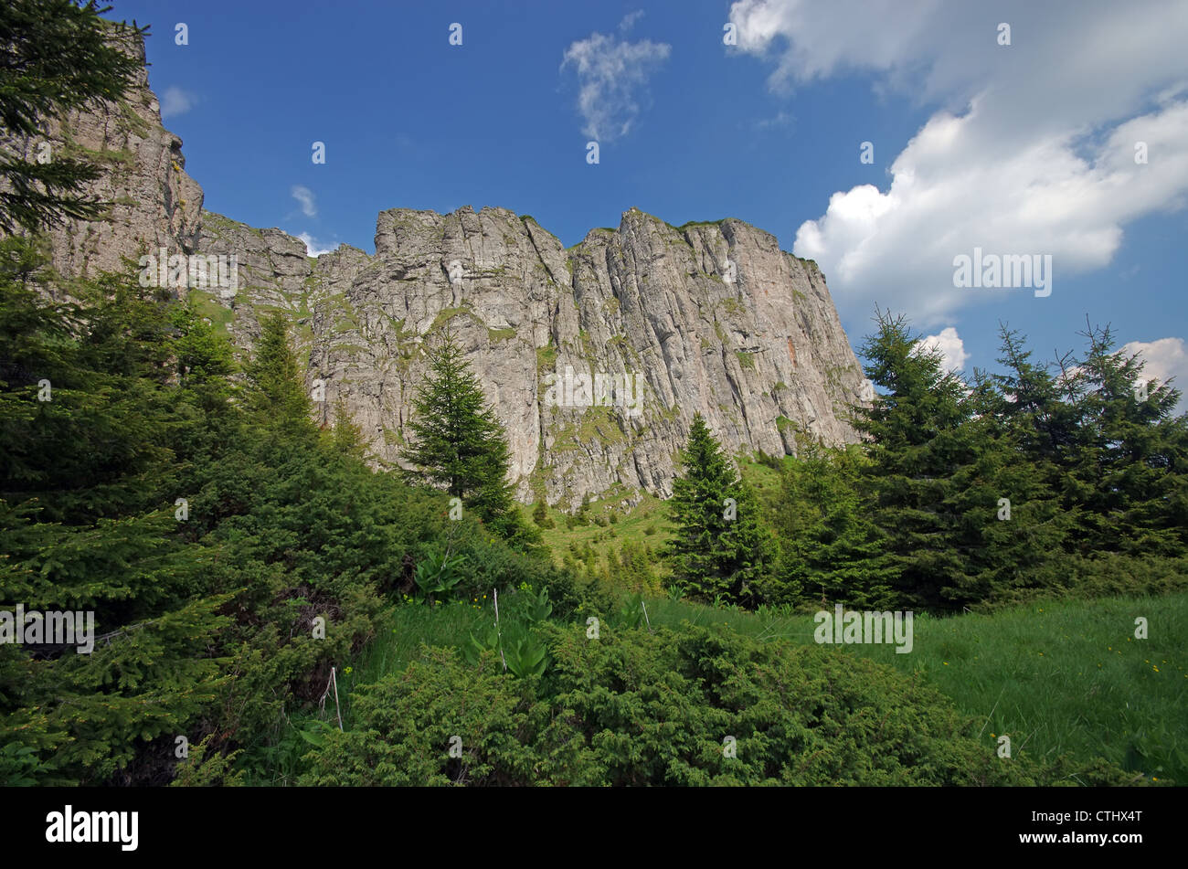 Muro di pietra naturale in Ceahlau mountain, Romania Foto Stock
