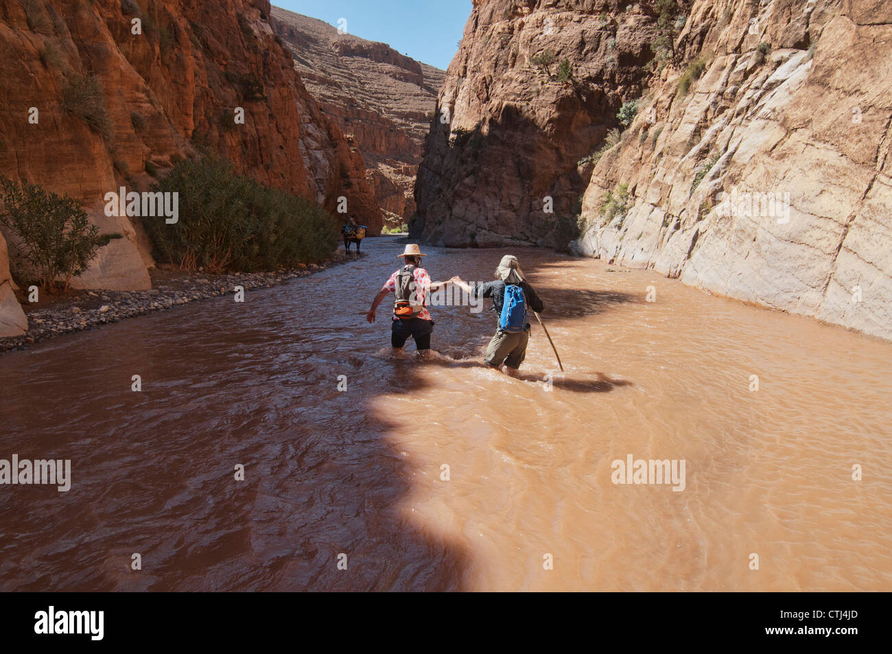 Trekking attraverso il M'Goun Gorges del sud montagne Atlas, Marocco Foto Stock
