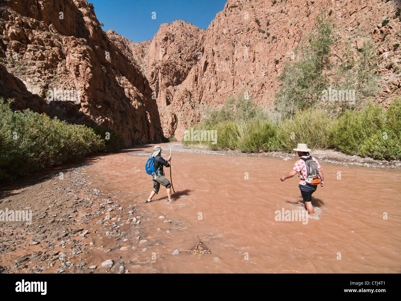 Trekking attraverso il M'Goun Gorges del sud montagne Atlas, Marocco Foto Stock