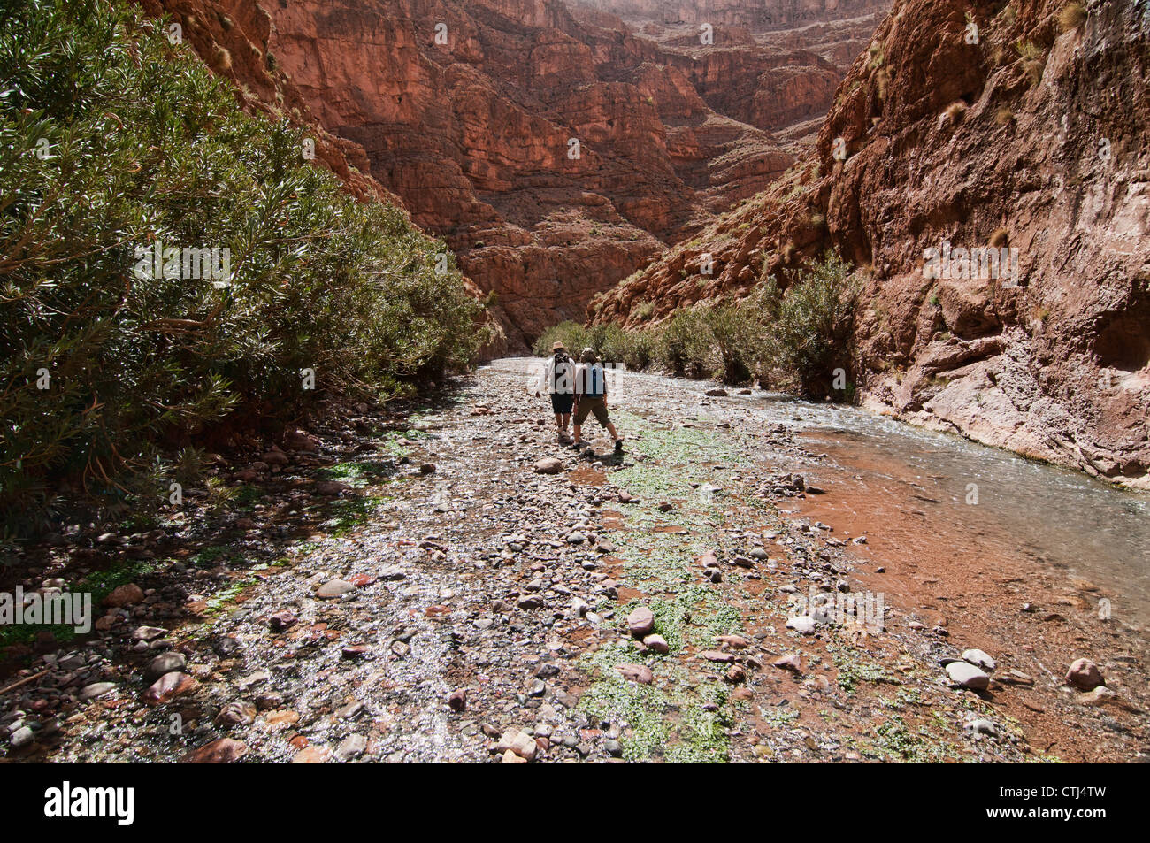 Trekking attraverso il M'Goun Gorges del sud montagne Atlas, Marocco Foto Stock