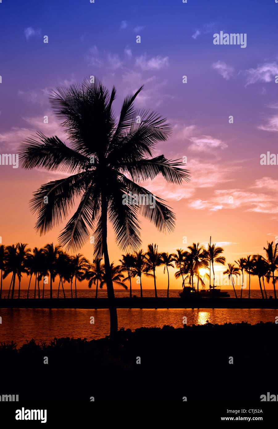 Hawaiian Palm tree tramonto sulla Grande Isola Anaehoomalu Bay Foto Stock