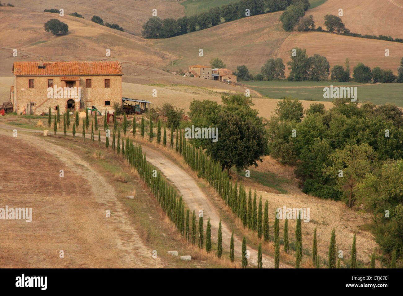 Strada rurale, Toscana Italia con cipressi Foto Stock