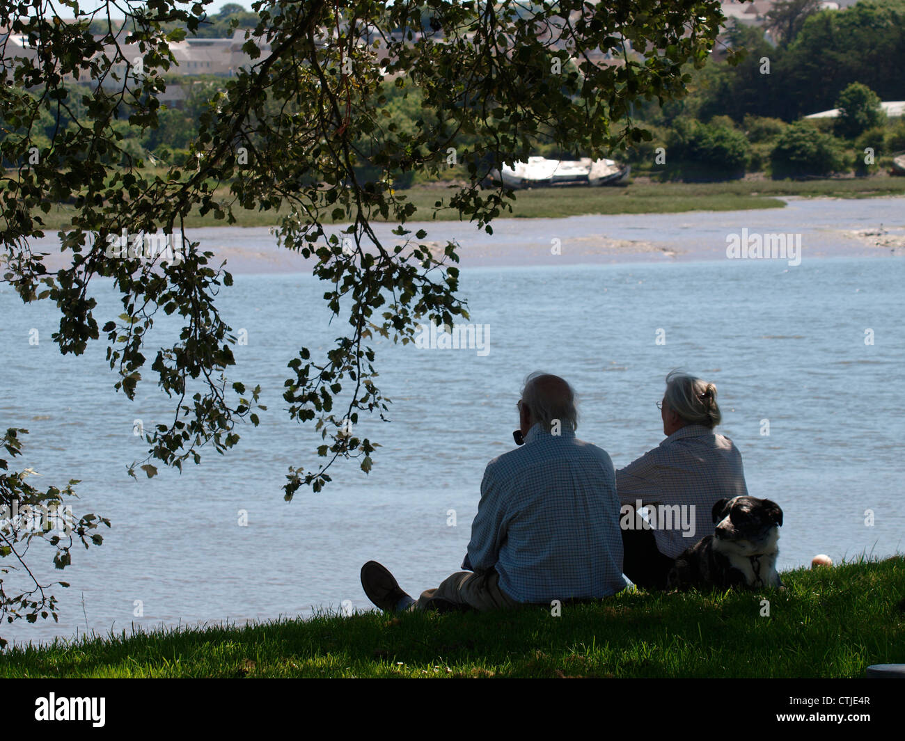Vecchia coppia e cane seduti sulla riva del fiume, Devon, Regno Unito Foto Stock
