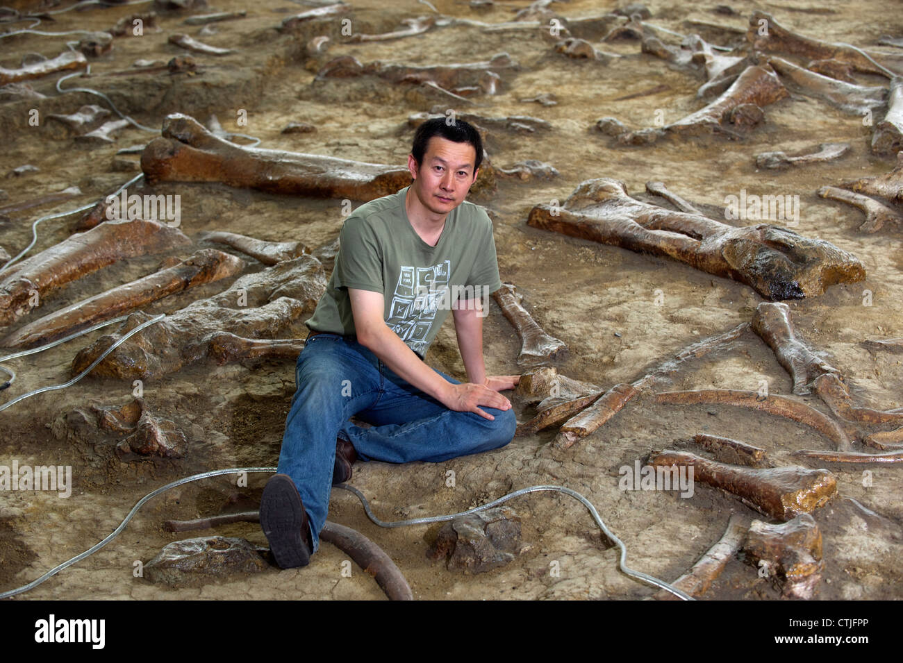 Paleontologo cinese il dott. Xu Xing pone tra i resti di anatra fatturati dinosauri in Zhucheng, Shandong, Cina. 06-giu-2012 Foto Stock