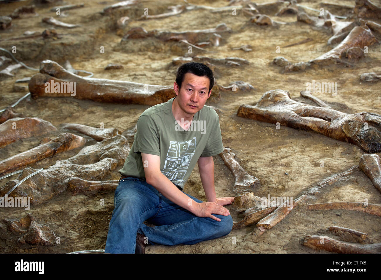 Paleontologo cinese il dott. Xu Xing pone tra i resti di anatra fatturati dinosauri in Zhucheng, Shandong, Cina. 06-giu-2012 Foto Stock