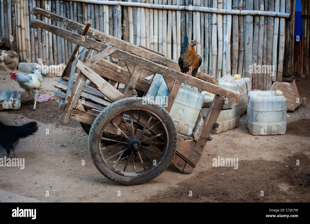 Un vecchio pushcart con un pollo andando lungo per la corsa visto nel villaggio di Komodo nell'arcipelago Indonesiano. Foto Stock