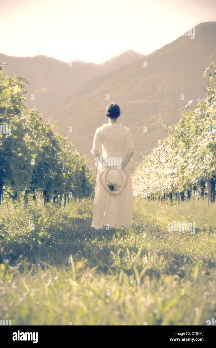 Una donna in bianco, abito vittoriano è passeggiate attraverso vigneti Foto Stock