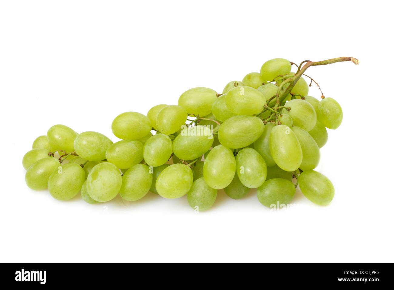Ramo di uva verde, foto sullo sfondo bianco Foto Stock