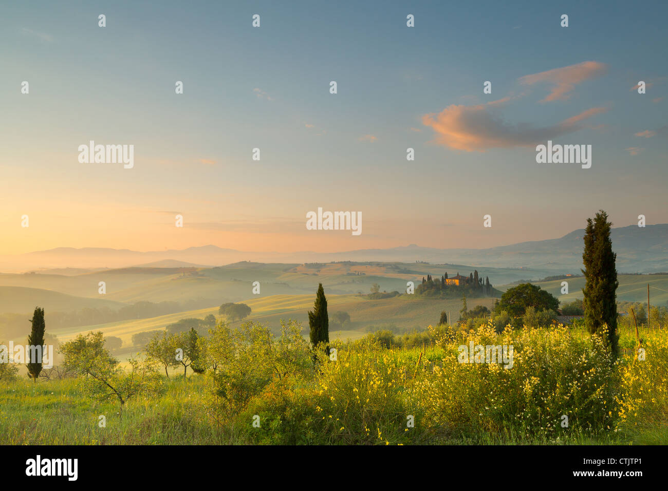 Primo sole sul Belvedere di villa sulle colline toscane a San Quirico d'Orcia Foto Stock