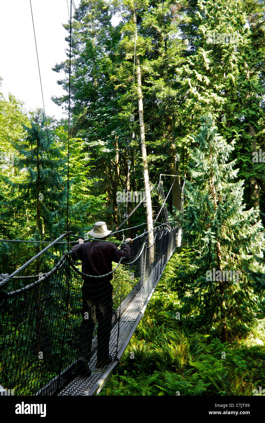 Uomo di attraversamento antenna sospesa tree pontile UBC Giardino Botanico Vancouver BC Foto Stock
