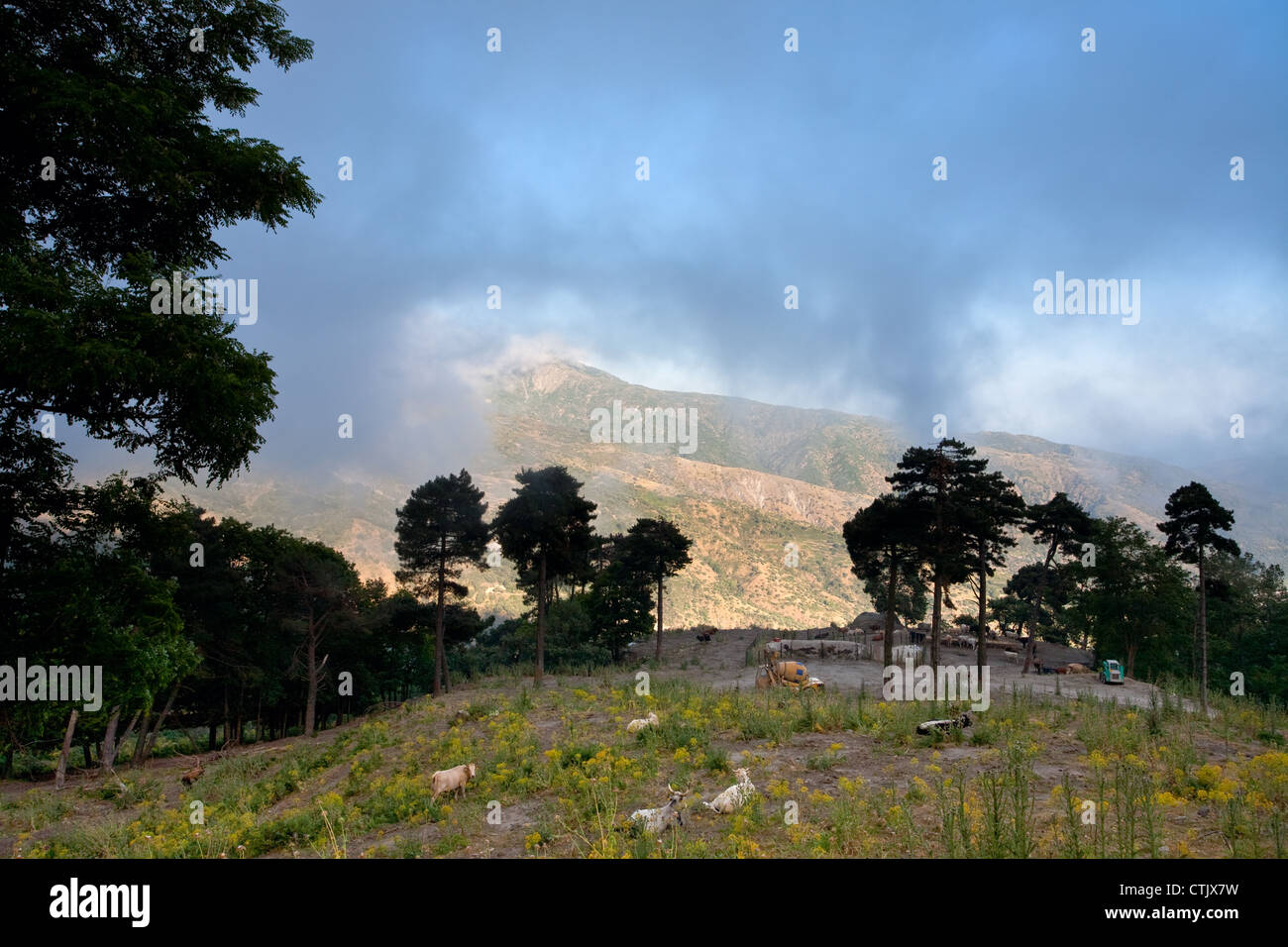 Pascoli di montagna sopra le nuvole vicino alla città di Novara di Sicilia , Italia Foto Stock