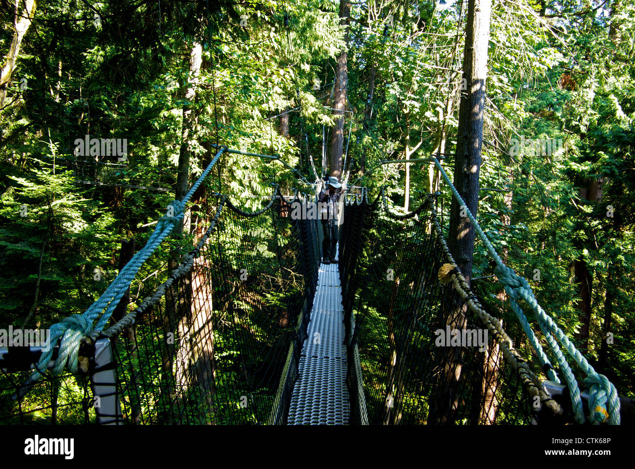 L'uomo attraversando strette cavo sospeso tree pontile UBC Giardino Botanico forest grove Foto Stock