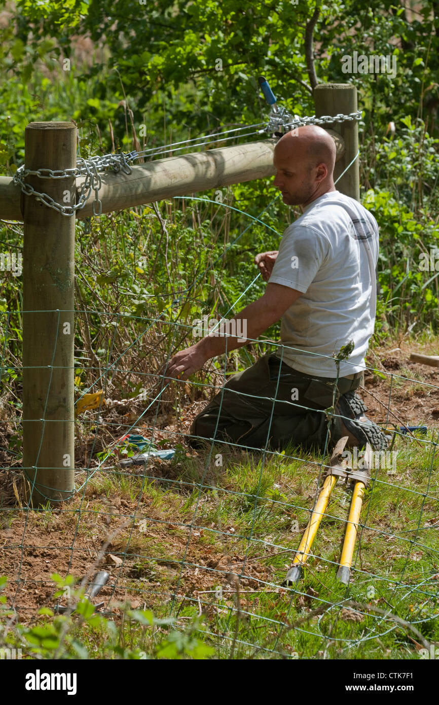 Scherma. Pali di legno e rampa utilizzata per sostenere e vincolare il filo netting pecore. Conterrà domestici animali di fattoria. Foto Stock