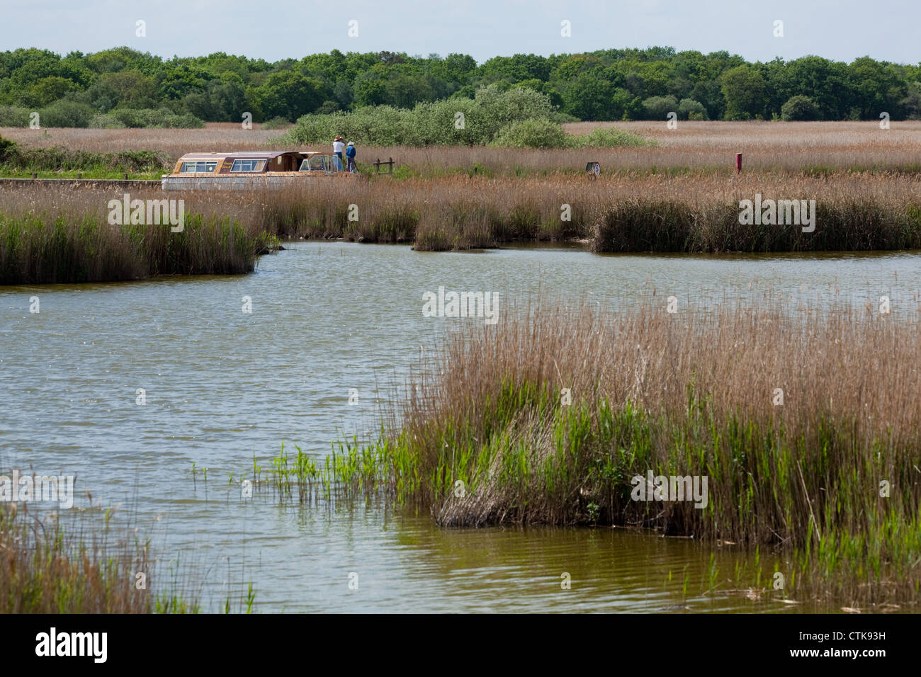 Norfolk Broads. Hickling, il più grande della Broads. Barca cruiser con i vacanzieri la visione di vita degli uccelli in canneti. Foto Stock