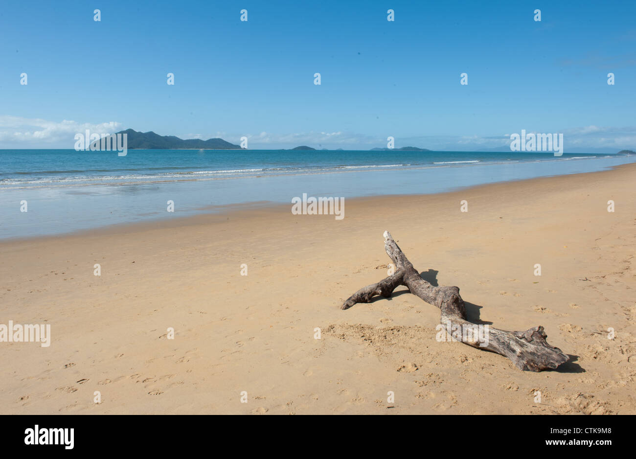 Wongaling spiaggia di Mission Beach sulla costa Casuario con Dunk Island in vista e driftwood esposti a bassa marea Foto Stock