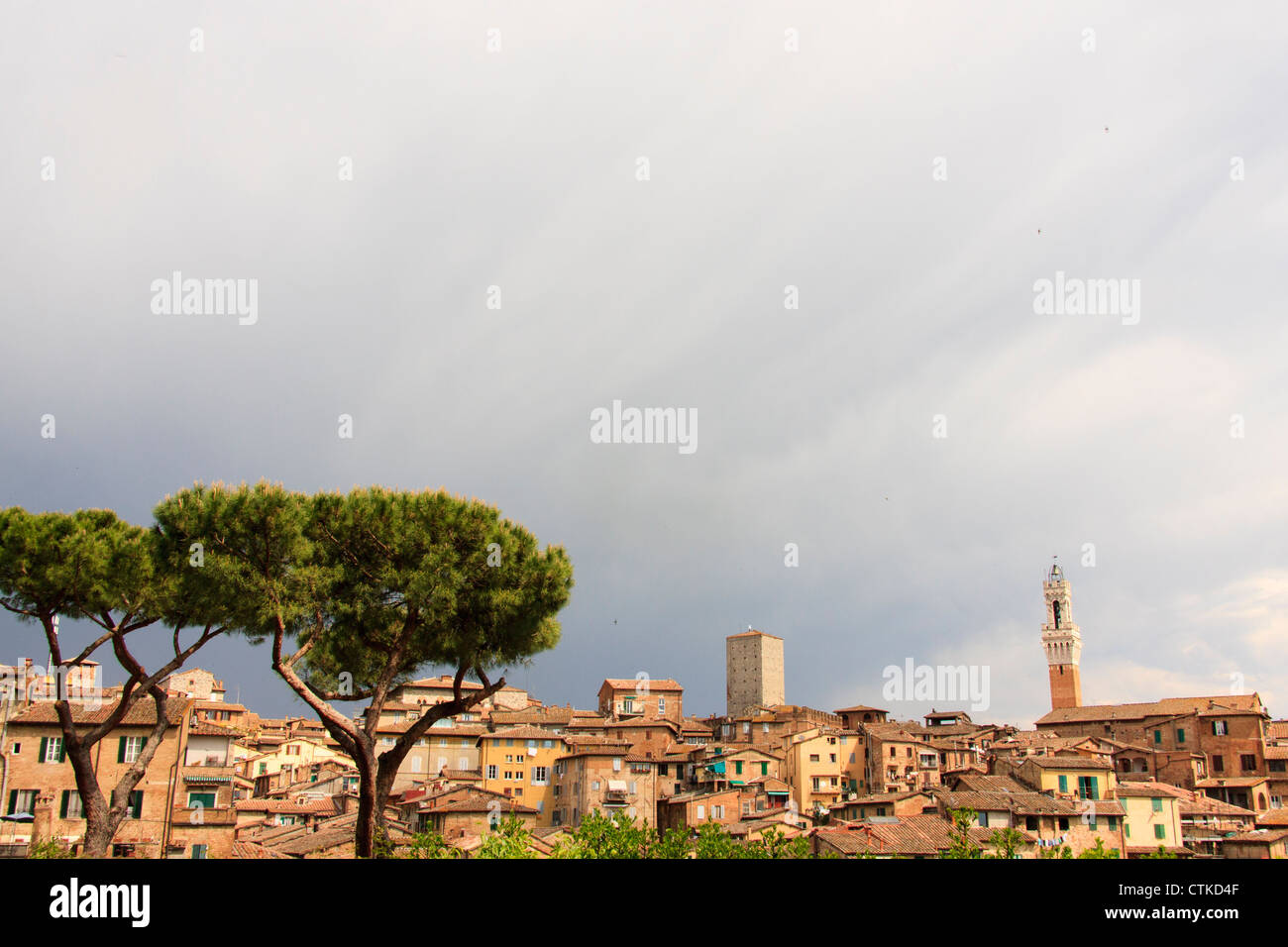 Siena città medievale vedere da lontano, Toscana, Italia. Foto Stock