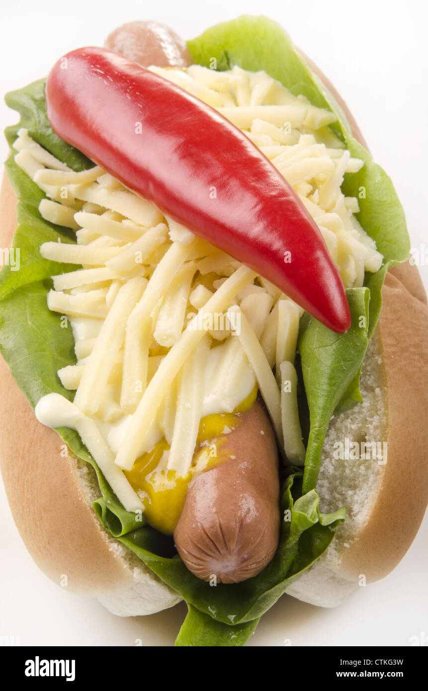 Hotdog con lattuga e grattugiato stagionato formaggio irlandese Foto Stock