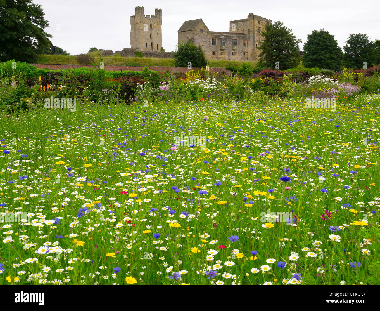 Helmsley castello affacciato sul Helmsley Walled Garden con un prato di fiori selvaggi piantagione Foto Stock