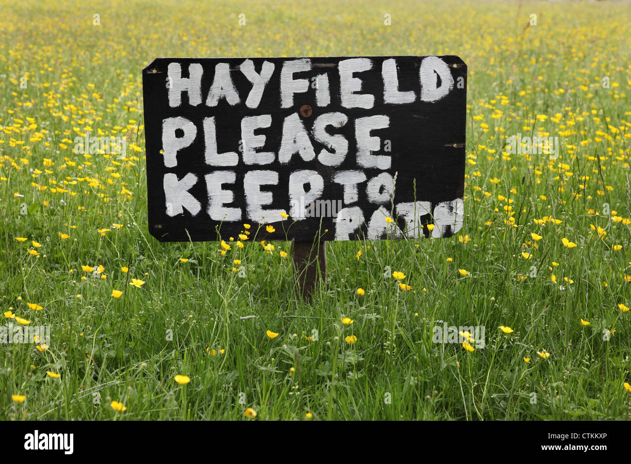 Pennine fieno prato con segno Teesdale superiore County Durham Regno Unito Foto Stock
