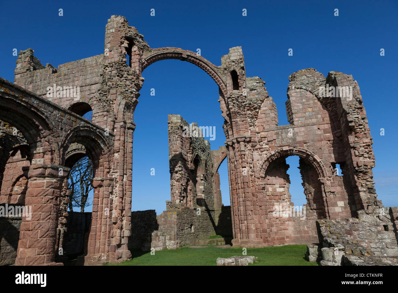 Le rovine di Lindesfarne Abbey, Isola Santa, Northumberland Foto Stock