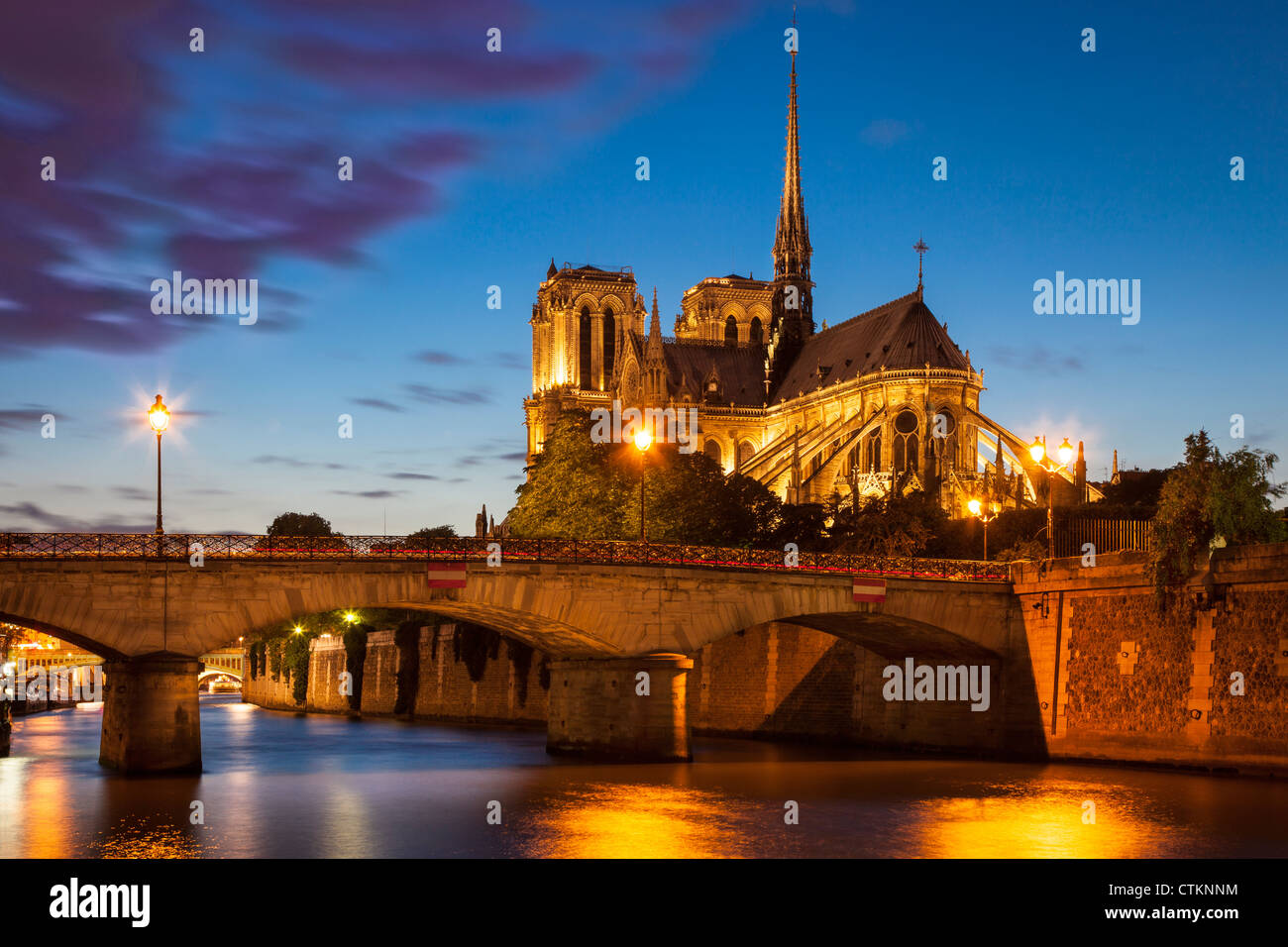 Twilight sulla Cattedrale di Notre Dame e il Fiume Senna, Parigi Francia Foto Stock