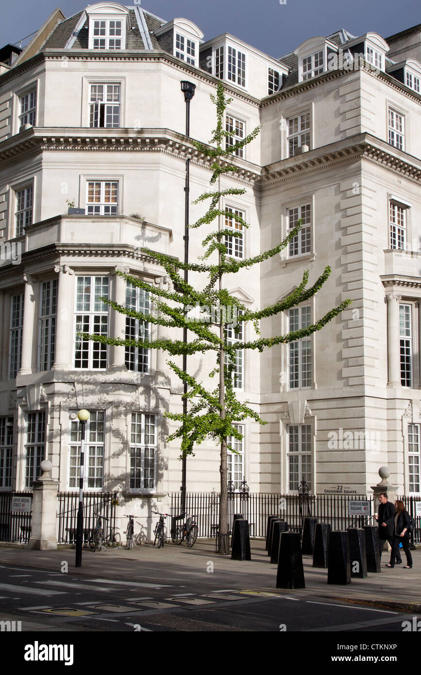 Struttura insolita Grosvenor Square Foto Stock