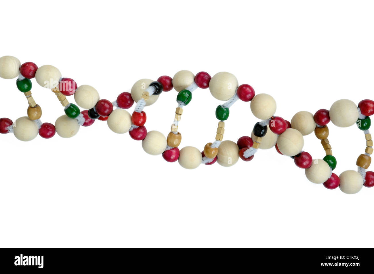 La doppia elica del DNA modello fatto di perle Foto Stock