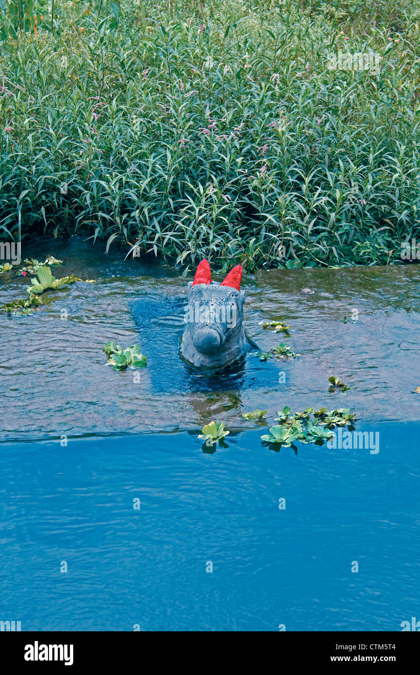 Nandi in acqua a Shri Koteshwar tempio situato tra il villaggio e arto Gove nel centro del fiume Krishna, Satara, Maharashtra, Foto Stock