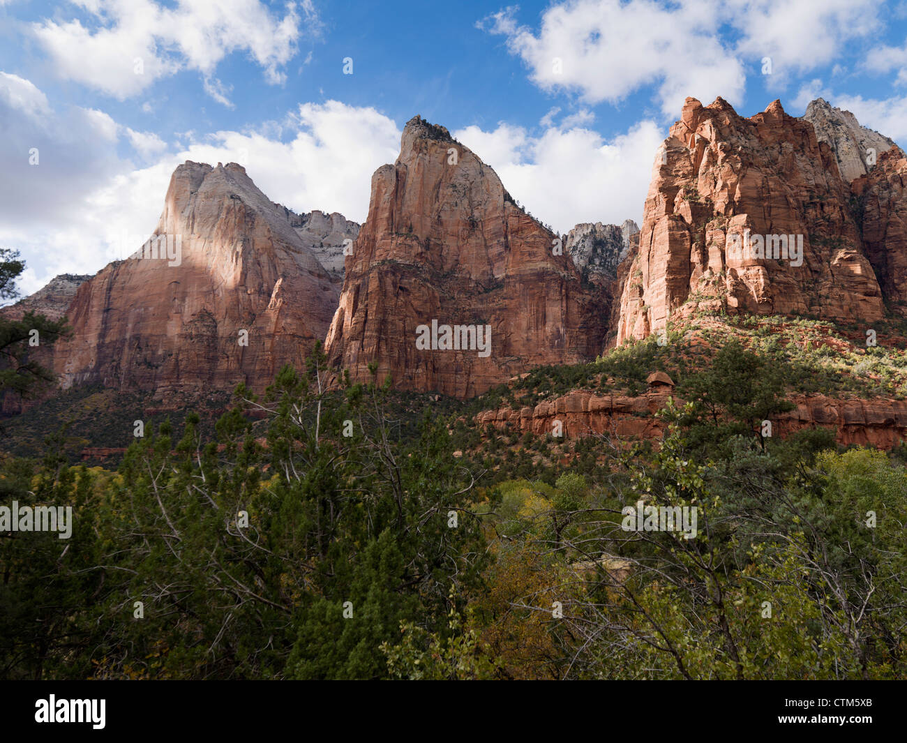 Aspre scogliere di arenaria nel Parco Nazionale di Zion; Utah, Stati Uniti d'America Foto Stock
