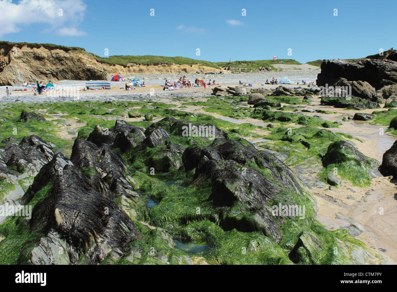 Spiaggia di Gunwalloe a bassa marea Foto Stock